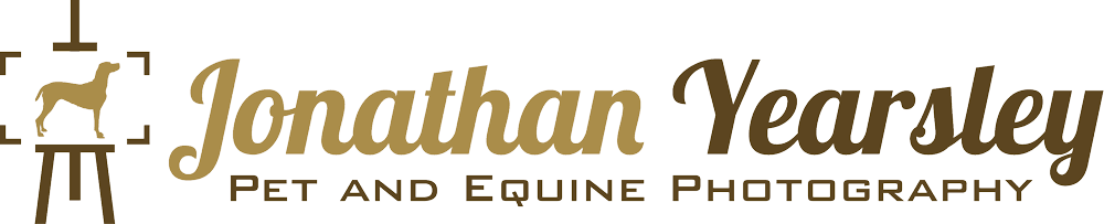 Jonathan Yearsley — Pet and Equine Photography